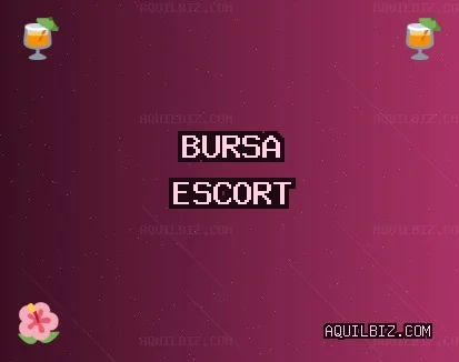 Bursa Escort: Mustafakemalpaşa Escort, Nilüfer Escort, Orhaneli Escort